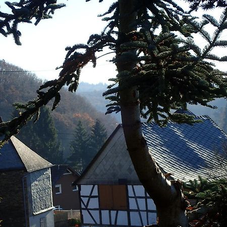 Vakantiehuis Hunsrueck Leisel Exteriér fotografie