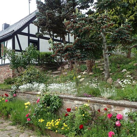 Vakantiehuis Hunsrueck Leisel Exteriér fotografie