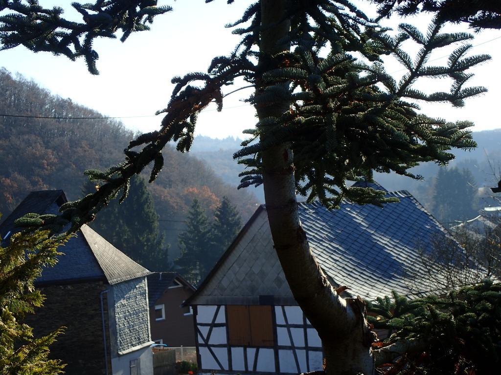 Vakantiehuis Hunsrueck Leisel Exteriér fotografie