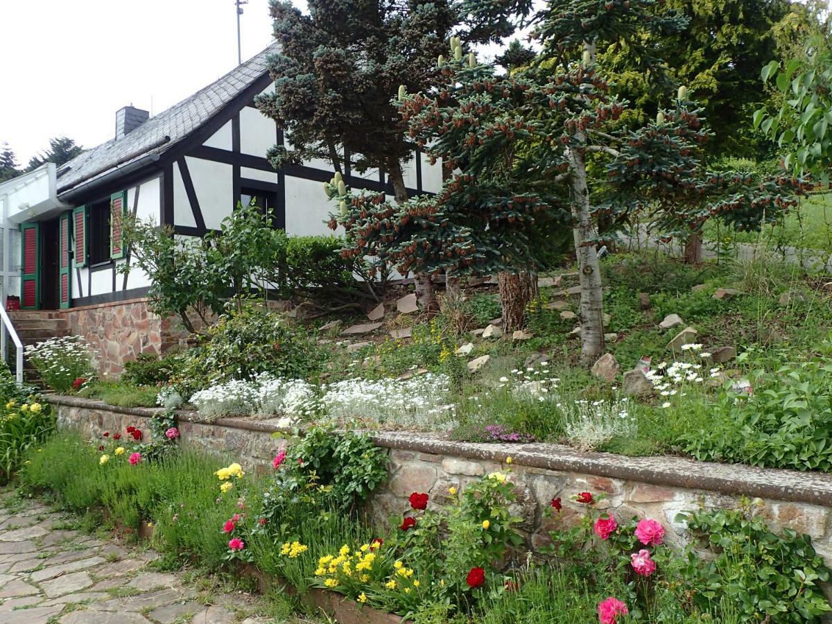 Vakantiehuis Hunsrueck Leisel Exteriér fotografie